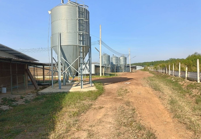 13 ฟาร์ม | ปราจีนบุรี กบินทร์บุรี ลาดตะเคียน | 13-66-00064