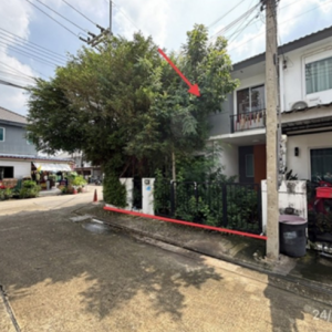 03 ทาวน์เฮ้าส์ | นครปฐม สามพราน ไร่ขิง | 03-66-01663