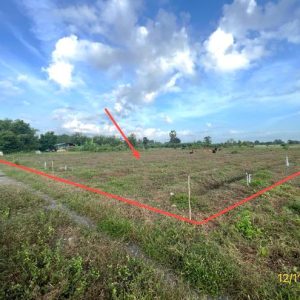 01 ที่ดินว่างเปล่า | กาญจนบุรี เลาขวัญ หนองโสน | 01-88-12589