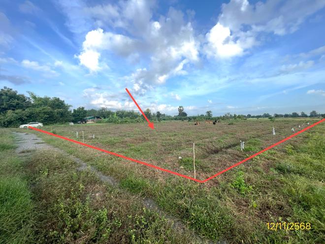 Real Estate from Banks _photo