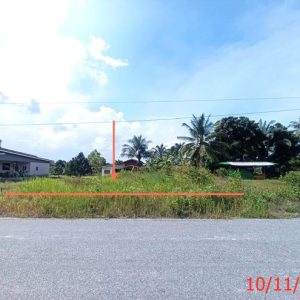 01 ที่ดินว่างเปล่า | สงขลา เทพา ท่าม่วง | 01-88-12420