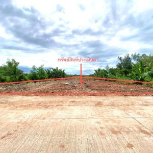 01 ที่ดินว่างเปล่า | พัทลุง เมืองพัทลุง เขาเจียก | 01-88-12594
