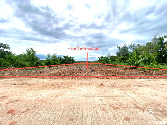 Real Estate from Banks _photo