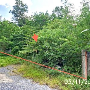 01 ที่ดินว่างเปล่า | นครศรีธรรมราช ชะอวด ชะอวด | 01-88-12410