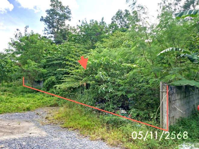 Real Estate from Banks _photo