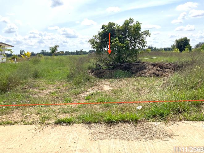 Real Estate from Banks _photo