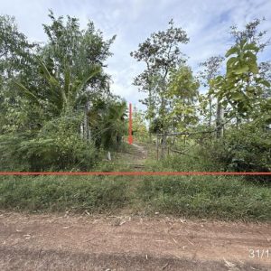01 ที่ดินว่างเปล่า | อุบลราชธานี วารินชำราบ โพธิ์ใหญ่ | 01-88-12605
