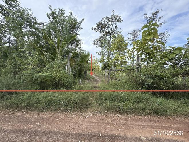 Real Estate from Banks _photo