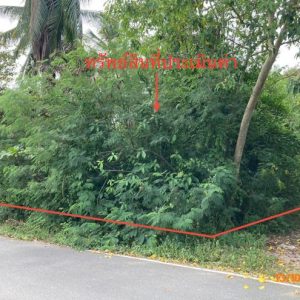 01 ที่ดินว่างเปล่า | สุราษฎร์ธานี ดอนสัก ดอนสัก | 01-88-12523