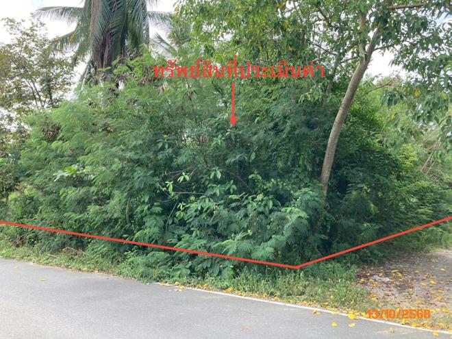 Real Estate from Banks _photo