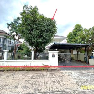 02 บ้านเดี่ยว | ปทุมธานี ธัญบุรี รังสิต | 02-88-18158