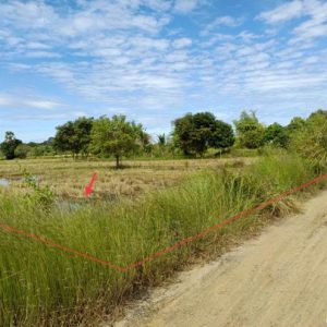 01 ที่ดินว่างเปล่า | บุรีรัมย์ สตึก สะแก | 01-88-12593