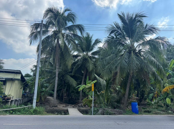 Real Estate from Banks _photo