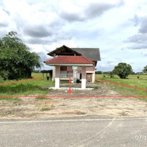 02 บ้านเดี่ยว | เชียงราย พาน ทานตะวัน | 02-88-17286