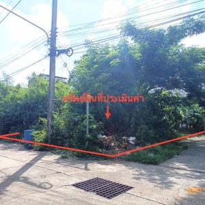 01 ที่ดินว่างเปล่า | นครศรีธรรมราช ปากพนัง บางพระ | 01-88-12590
