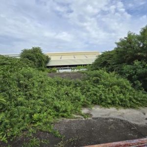 10 อาคารสำนักงาน | นนทบุรี บางใหญ่ บางม่วง | 10-66-00292