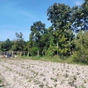 01 ที่ดินว่างเปล่า | สกลนคร วาริชภูมิ วาริชภูมิ | 01-66-02362