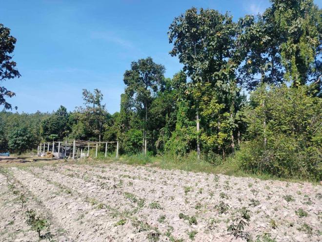 Real Estate from Banks _photo