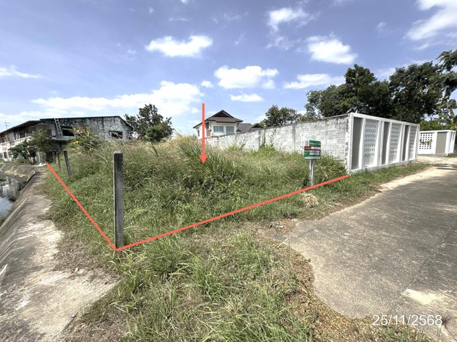 Real Estate from Banks _photo