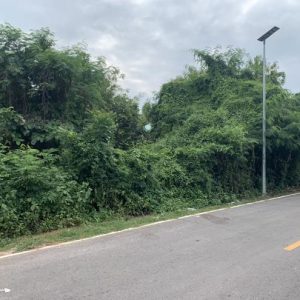 01 ที่ดินว่างเปล่า | ร้อยเอ็ด เสลภูมิ กลาง | 01-66-02363