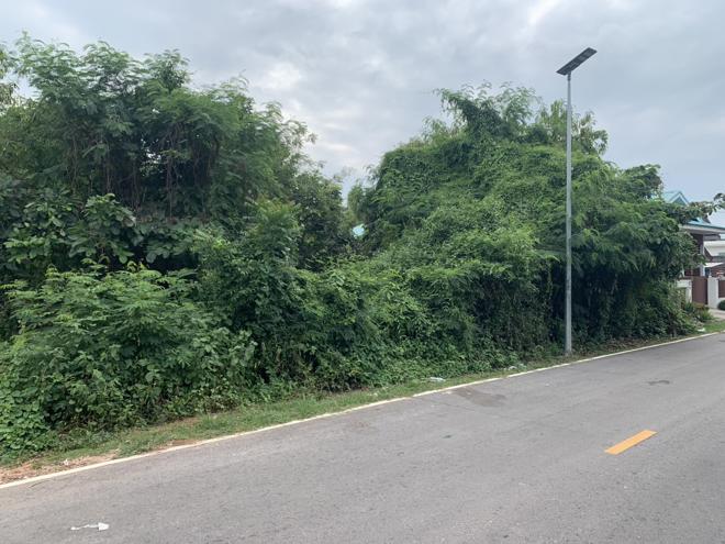 Real Estate from Banks _photo