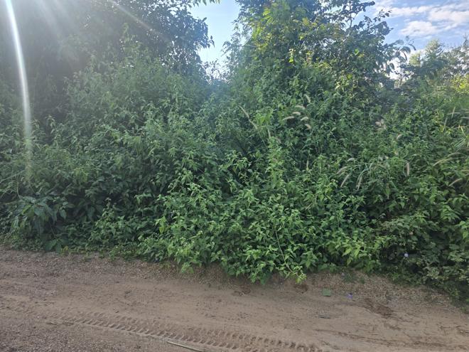 Real Estate from Banks _photo