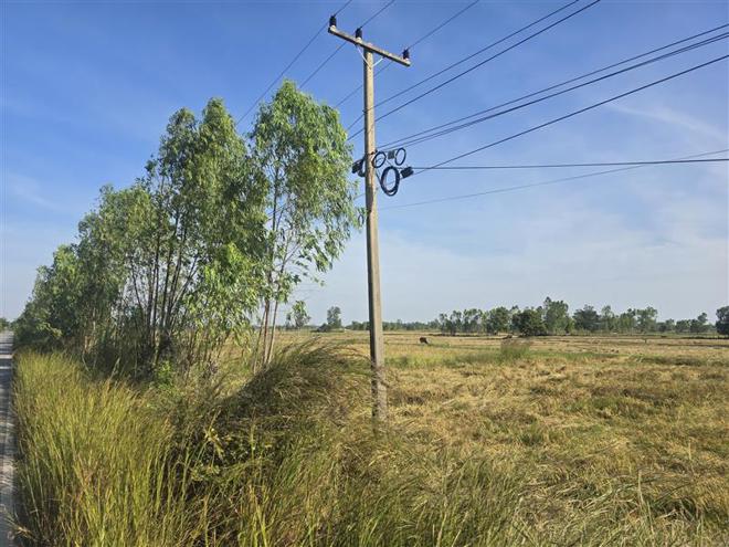 Real Estate from Banks _photo