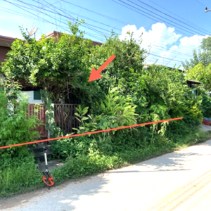 02 บ้านเดี่ยว | นครราชสีมา พิมาย สัมฤทธิ์ | 02-88-18197