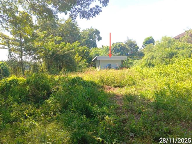 02 บ้านเดี่ยว | ตาก แม่ระมาด ขะเนจื้อ | 02-88-18023