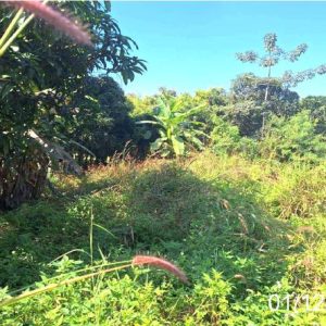 01 ที่ดินว่างเปล่า | ลำปาง เมืองลำปาง กล้วยแพะ | 01-88-12612