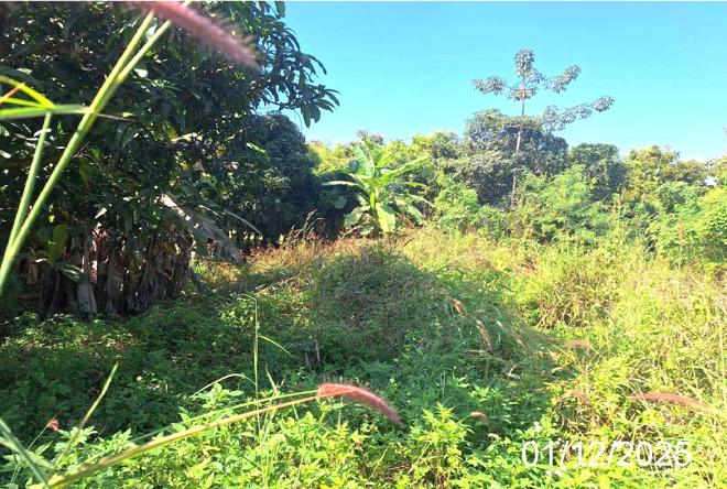 Real Estate from Banks _photo