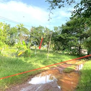 01 ที่ดินว่างเปล่า | หนองคาย เมืองหนองคาย โพนสว่าง | 01-88-12637