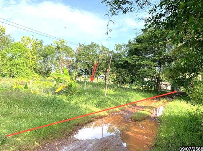 Real Estate from Banks _photo