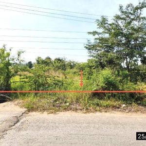 01 ที่ดินว่างเปล่า | ขอนแก่น เมืองขอนแก่น สาวะถี | 01-88-12616
