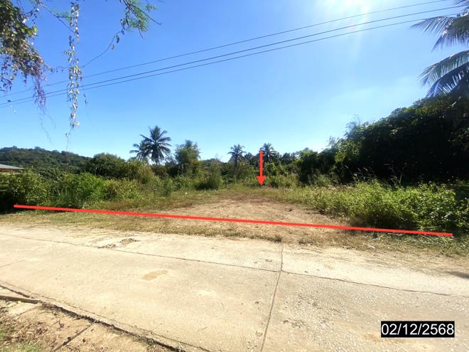 Real Estate from Banks _photo