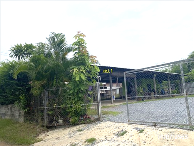 02 บ้านเดี่ยว | กาฬสินธุ์ ฆ้องชัย โคกสะอาด | 02-88-18212