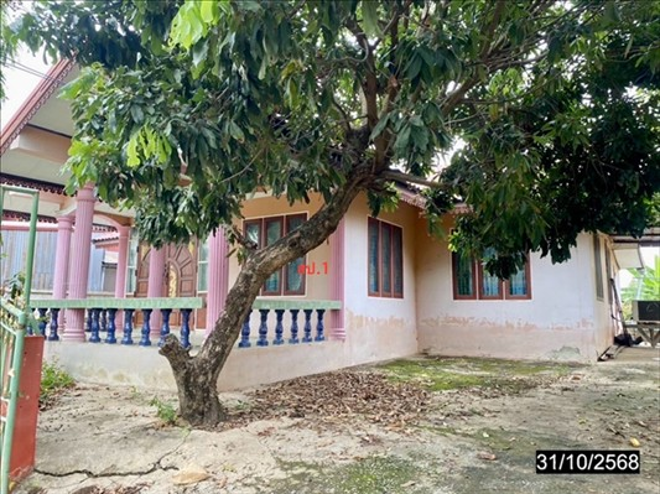 02 บ้านเดี่ยว | ขอนแก่น โคกโพธิ์ไชย บ้านโคก | 02-88-18220