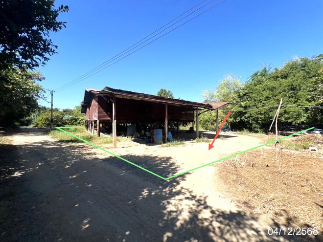 02 บ้านเดี่ยว | สุพรรณบุรี เดิมบางนางบวช ยางนอน | 02-88-17569