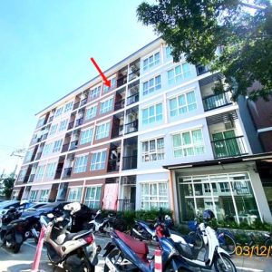 05 คอนโดมิเนียม | สมุทรปราการ เมืองสมุทรปราการ บางปูใหม่ | 05-88-03559