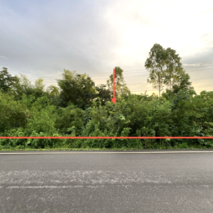 01 ที่ดินว่างเปล่า | หนองบัวลำภู สุวรรณคูหา นาดี | 01-88-12644