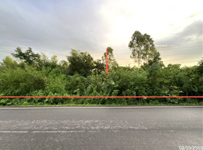 Real Estate from Banks _photo