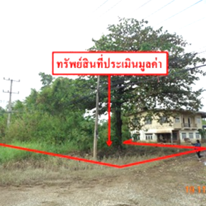 01 ที่ดินว่างเปล่า | สุโขทัย เมืองสุโขทัย บ้านกล้วย | 01-88-12647