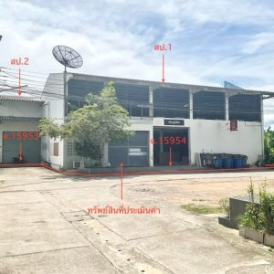 12 โกดัง | เพชรบุรี เมืองเพชรบุรี ต้นมะม่วง | 12-88-01263