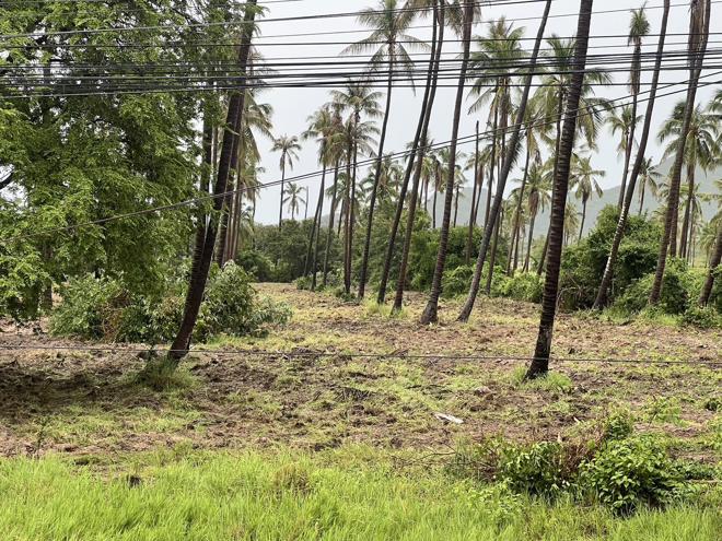 Real Estate from Banks _photo