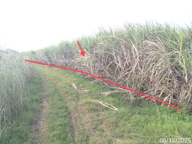 Real Estate from Banks _photo