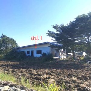 02 บ้านเดี่ยว | สระบุรี พระพุทธบาท พุคำจาน | 02-88-18032