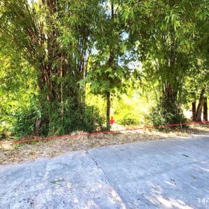 01 ที่ดินว่างเปล่า | มหาสารคาม บรบือ หนองจิก | 01-88-12492