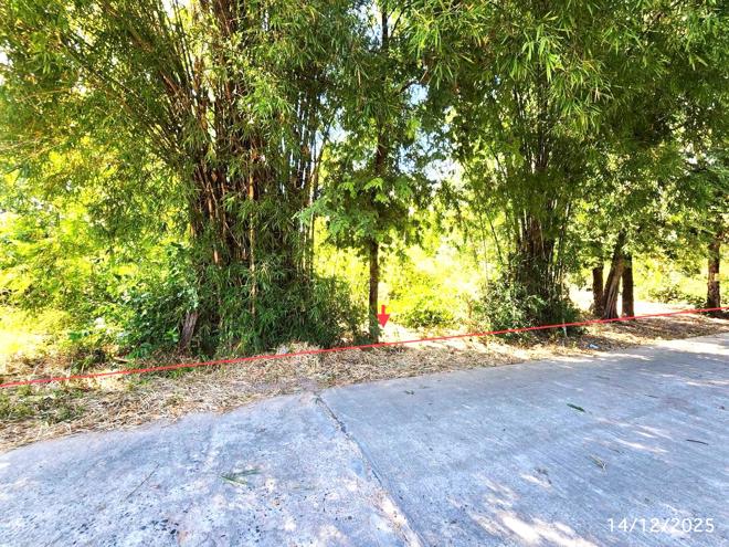 Real Estate from Banks _photo