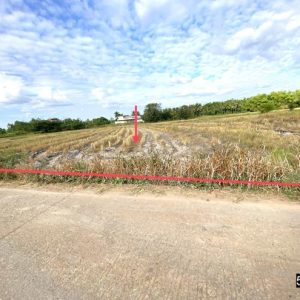 01 ที่ดินว่างเปล่า | กาฬสินธุ์ เมืองกาฬสินธุ์ หลุบ | 01-88-12412