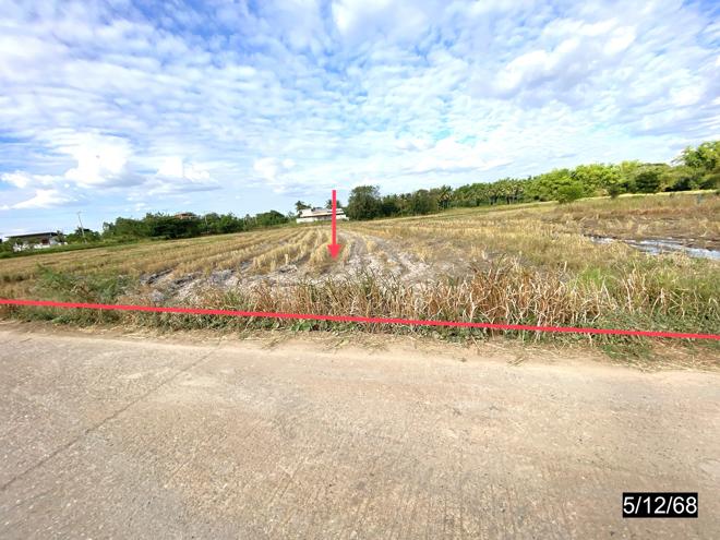 Real Estate from Banks _photo